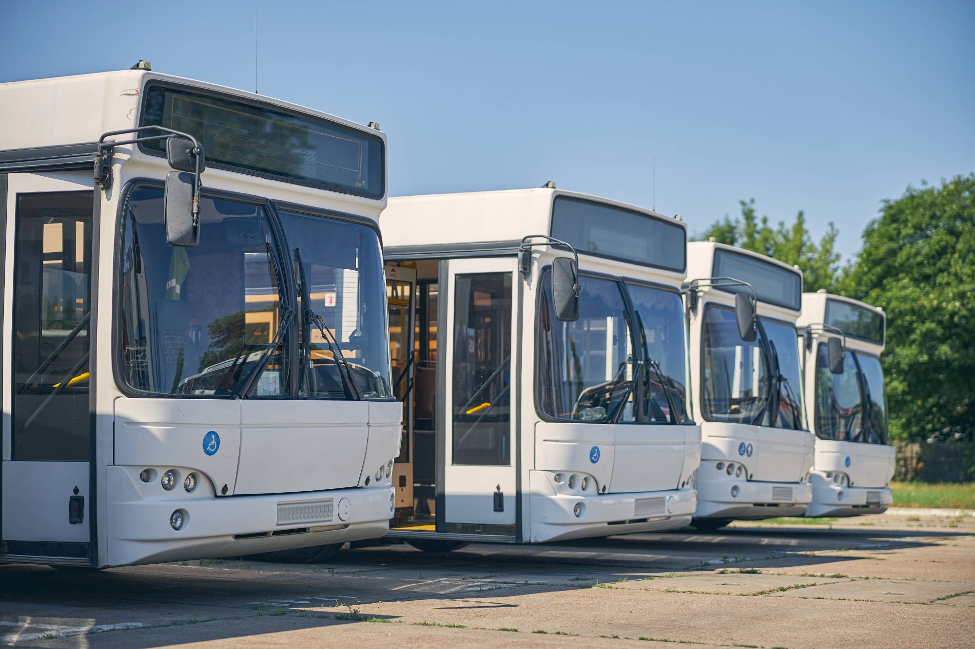 Row of buses